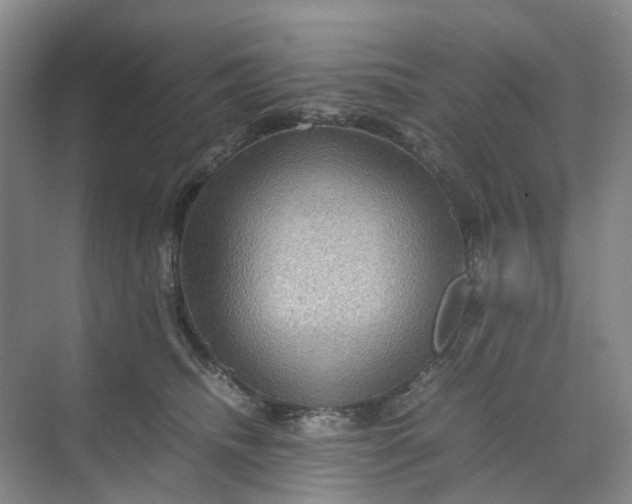 X0000070170468200606091445
