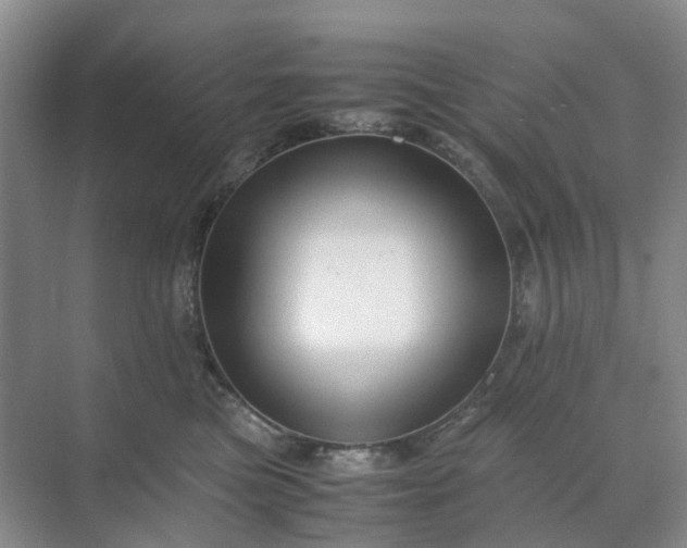 X0000070170473200606091445