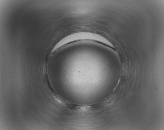 X0000070170474200606091445