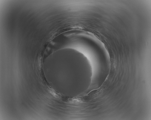 X0000070170475200606091445