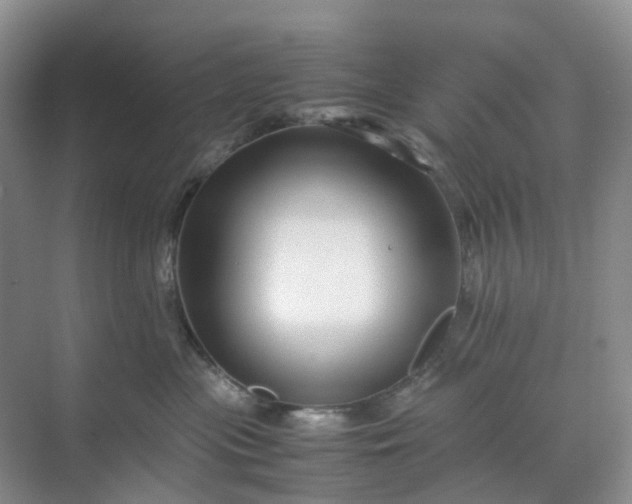 X0000070170477200606091445