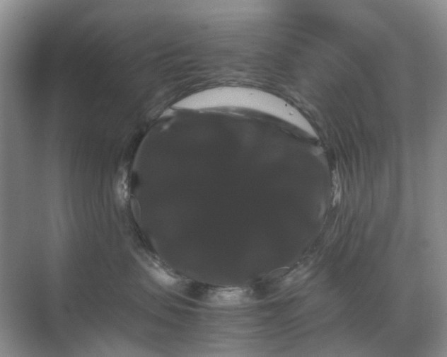 X0000070170479200606091445