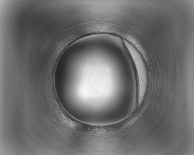 X0000070170481200606091445