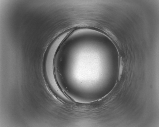 X0000070170485200606091444