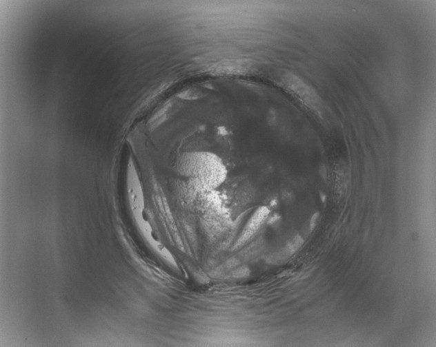 X0000070170491200606091444