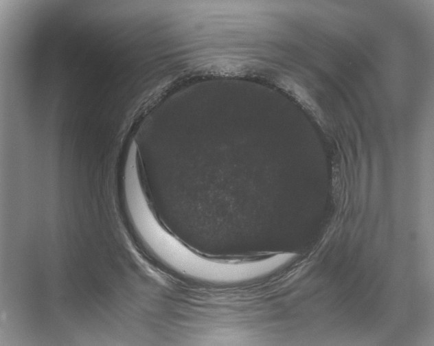X0000070170493200606091444
