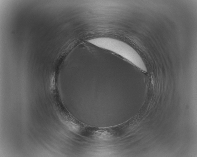X0000070170502200606091444