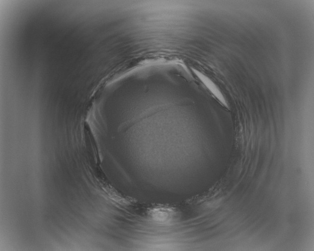 X0000070170508200606091444