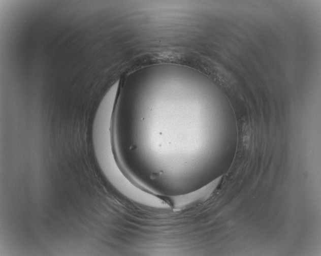 X0000070170514200606091444