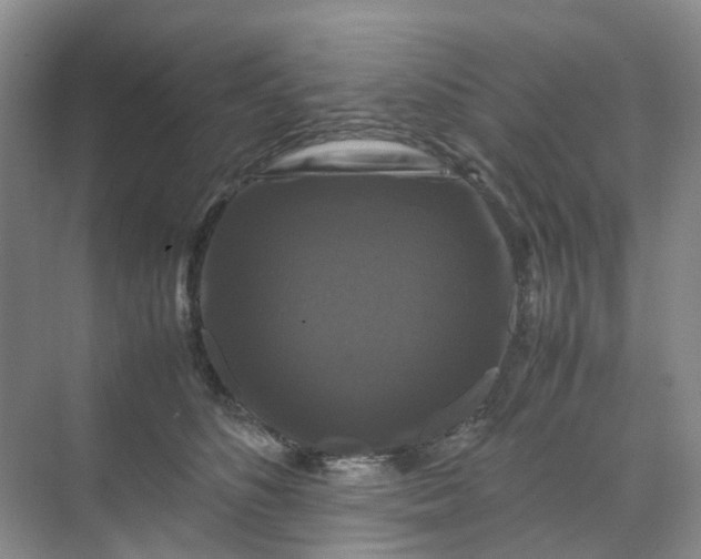 X0000070170516200606091444