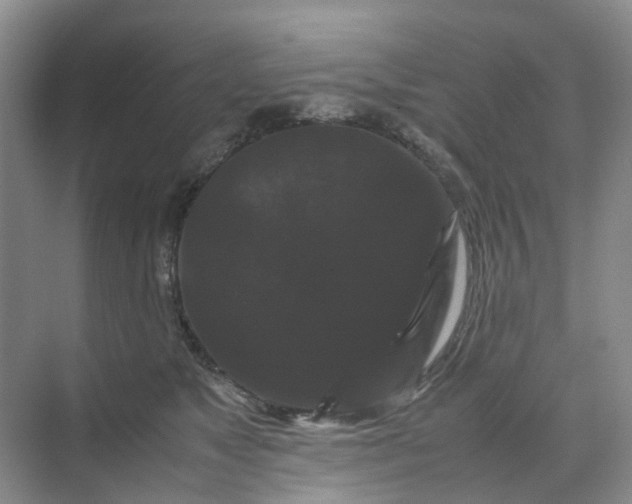 X0000070170517200606091444