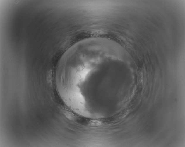 X0000070170519200606091444