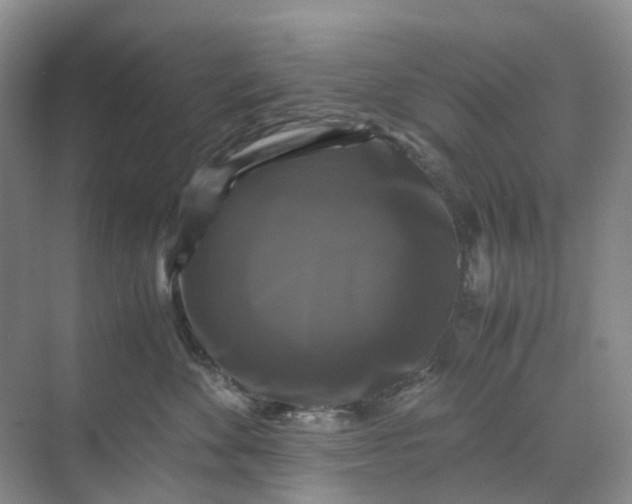X0000070170524200606091444