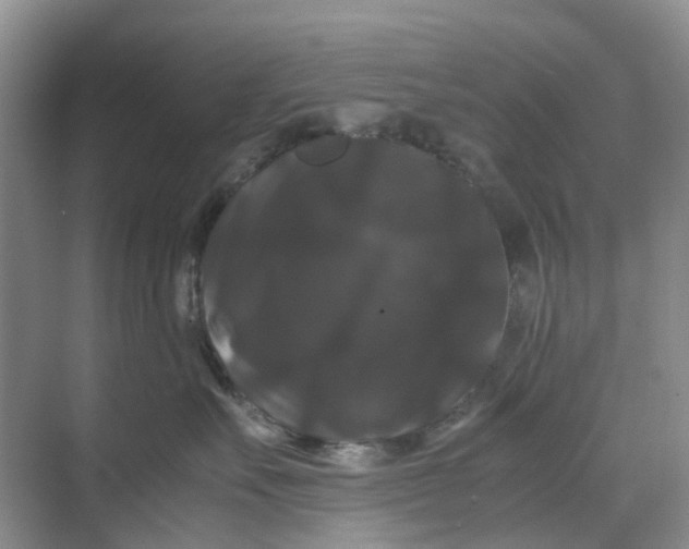 X0000070170527200606091444