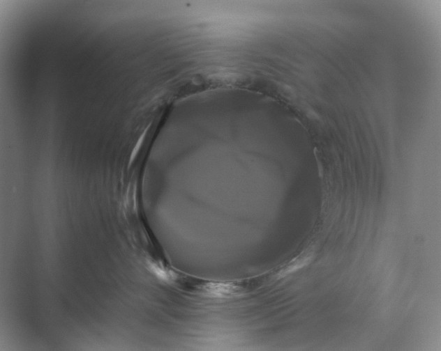X0000070170528200606091444