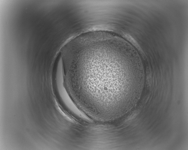 X0000070170530200606091443