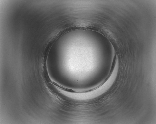 X0000070170544200606091443