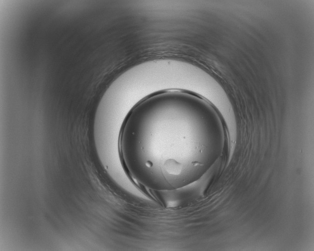 X0000070170551200606091443