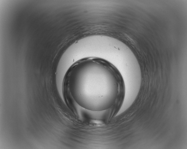 X0000070170552200606091443
