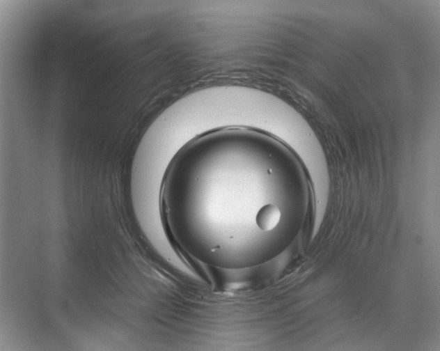 X0000070170558200606091443