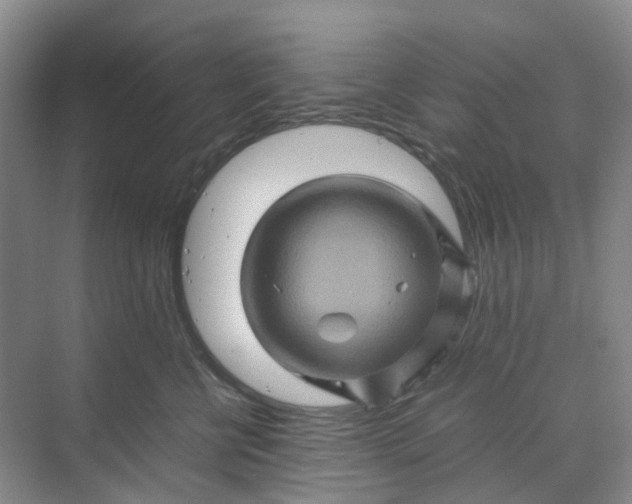 X0000070170570200606091444