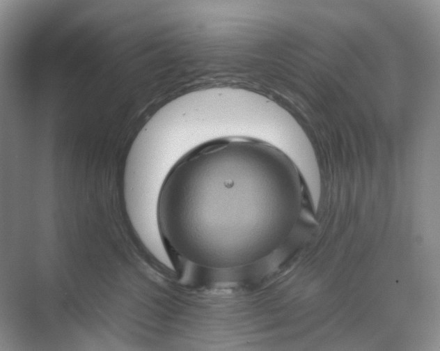 X0000070170572200606091444