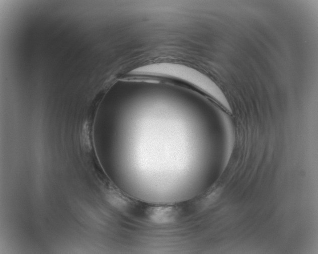 X0000070170575200606091444