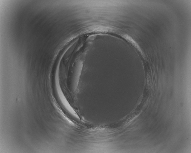 X0000070170581200606091443