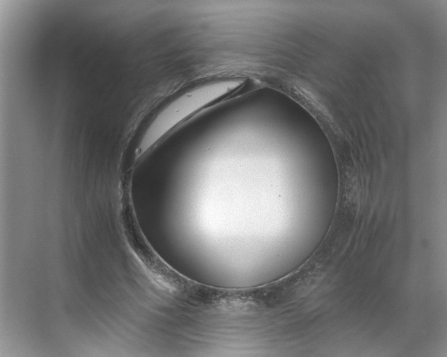 X0000070170586200606091443