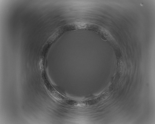 X0000070170598200606091443