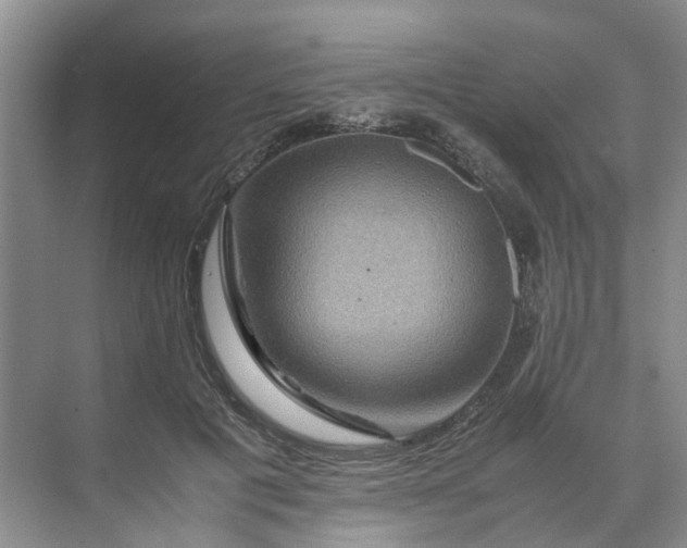 X0000070170601200606091443