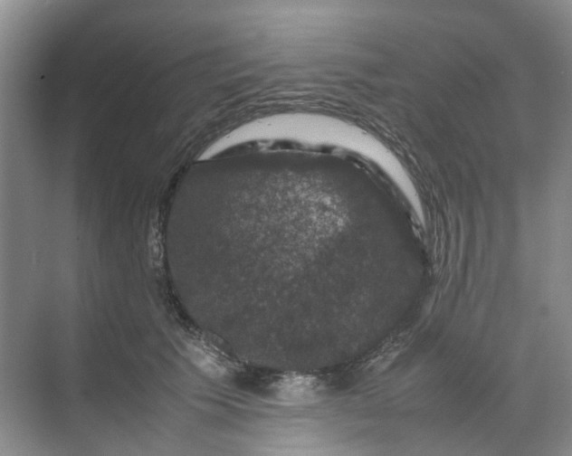 X0000070170609200606091442