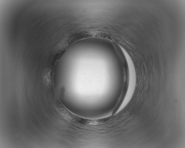 X0000070170611200606091442