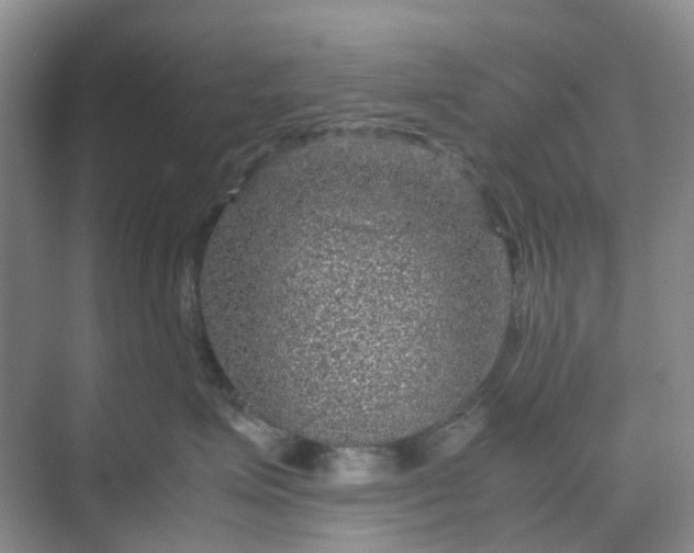 X0000070170623200606091442