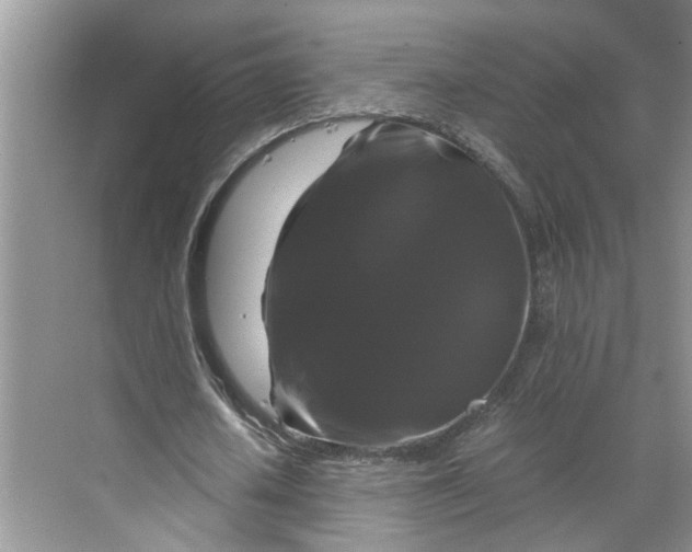 X0000070170626200606091441