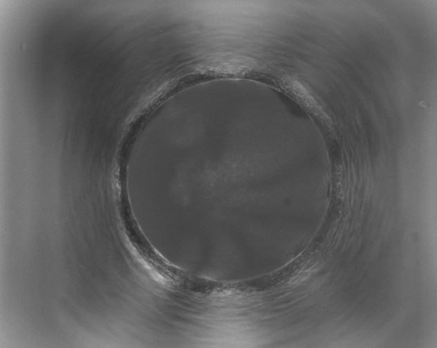 X0000070170634200606091441