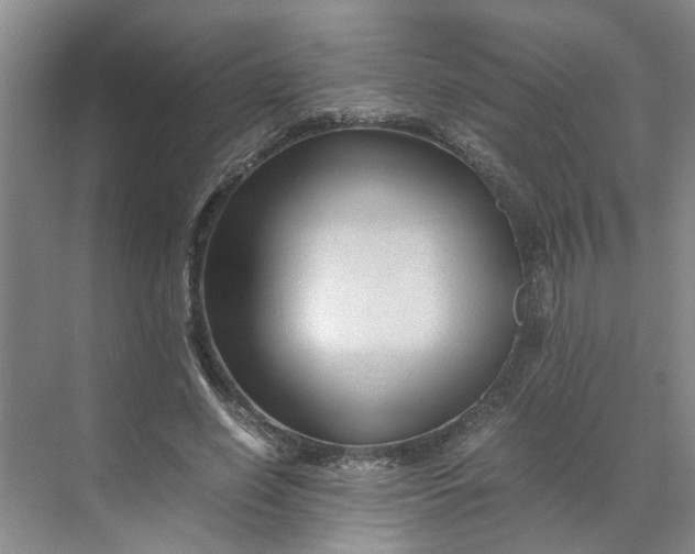 X0000070170638200606091442