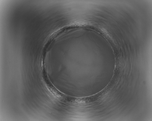 X0000070170640200606091442