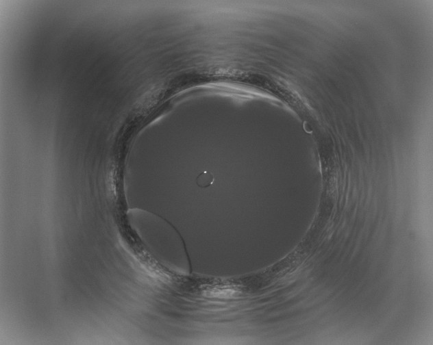 X0000070170643200606091442