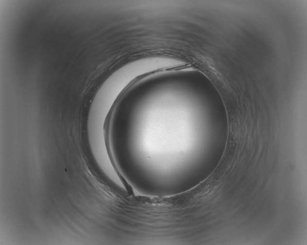 X0000070170645200606091442