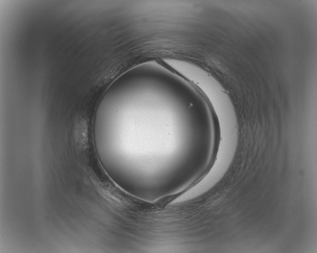 X0000070170646200606091442