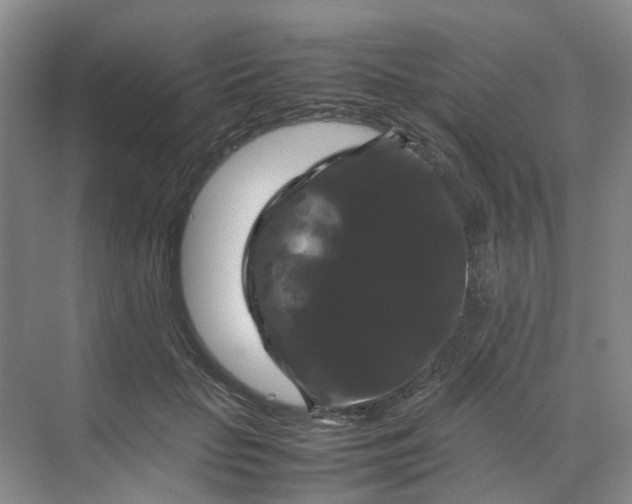 X0000070170653200606091442