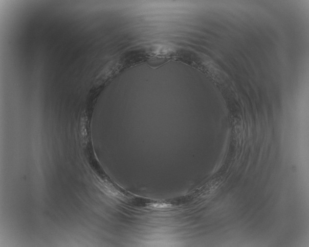 X0000070170654200606091442