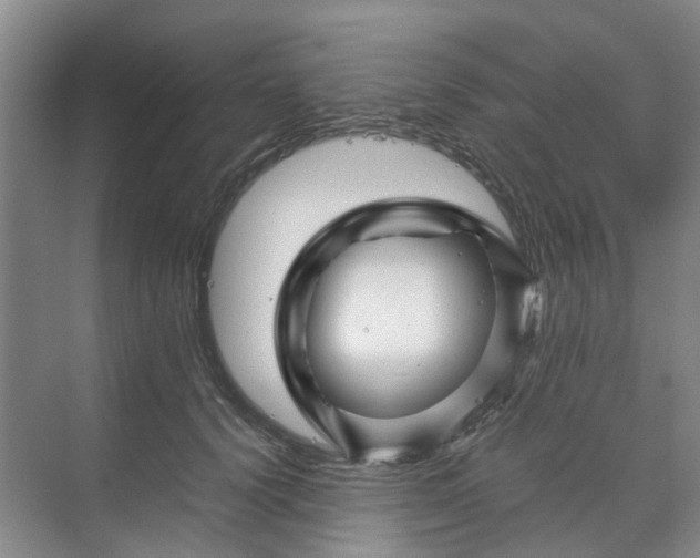 X0000070170656200606091442