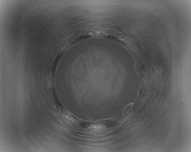 X0000070170659200606091442