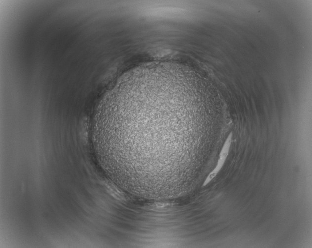 X0000070170664200606091442