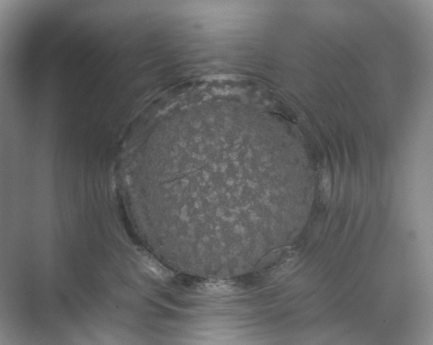 X0000070170668200606091442