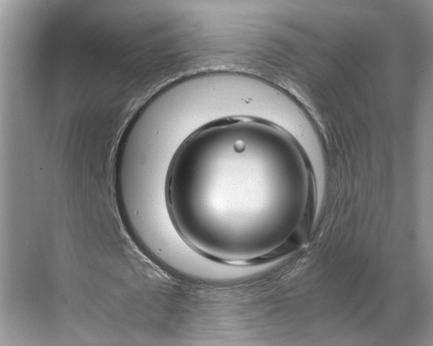 X0000070170673200606091441