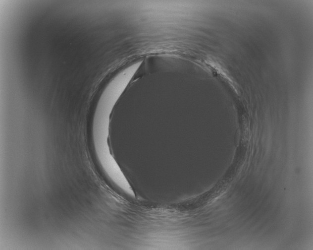 X0000070170681200606091441
