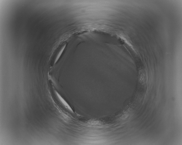 X0000070170685200606091441